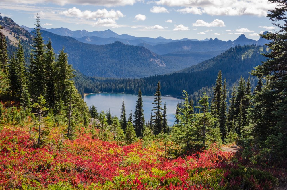 Banff National Park