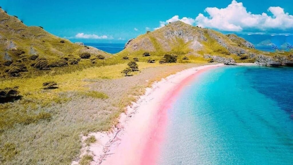 Pink Beach Komodo Island