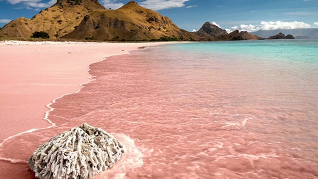 Pink Beach Komodo Island