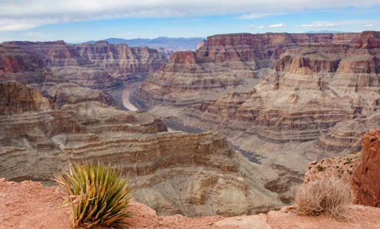 The Grand Canyon