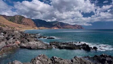 Kaena Point Trail